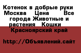 Котенок в добрые руки. Москва. › Цена ­ 5 - Все города Животные и растения » Кошки   . Красноярский край